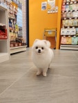 24시무인애견용품&편의점아무도없개&PETTIME고덕 | 24시 반려동물 편의점 아무도없개 고덕신도시점