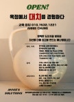 애니스솔루션