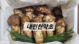 내린천약초