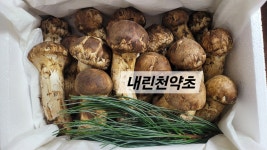 내린천약초