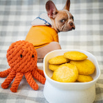 챱챱박사 반려동물용품 수제간식