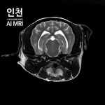 인천24시스카이동물메디컬센터