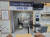 안경지식인