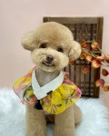 수수펫살롱