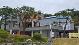 양지다방