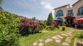 처음처럼 애견펜션