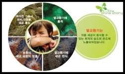 샤인스토리