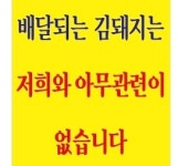 발칙한김돼지네