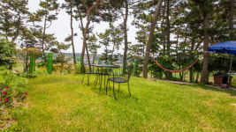 처음처럼 애견펜션