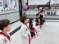 한국체대 MTA태권도