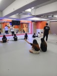한국파워점핑줄넘기전문클럽 목동점