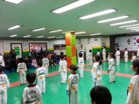 용인대 한호 태권도장