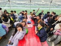 용인대 한호 태권도장