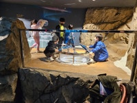 용인대 한호 태권도장