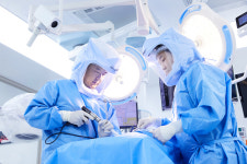 본동물메디컬센터 외과동물병원