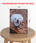 새로운사진관