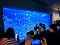 용인대 한호 태권도장