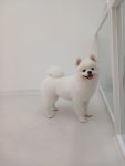 멍샤워
