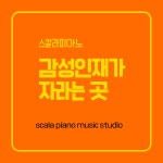 스칼라피아노음악교습소