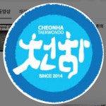 태권십 천하태권도