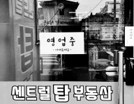 센트럴탑공인중개사사무소