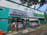 노아