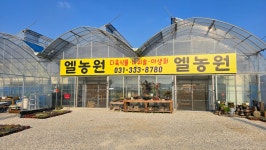 엘농원