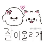 잘어울리개