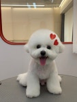 댕그루멍