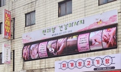 천리향체형관리