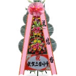 바네사