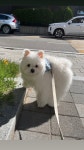 옐레드 문래역점