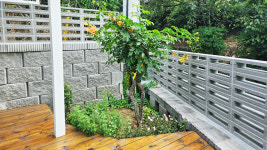 어느날오봉리728