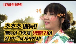 민들레 사주다방