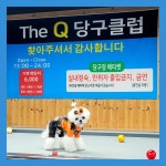 더큐당구장