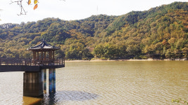 어느날오봉리728