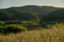 스테이인터뷰 노호
