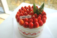 스테이550