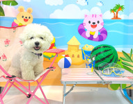 옐레드 애견유치원&애견호텔 대전노은점