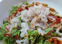 감포참가자미회