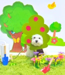 옐레드 애견유치원&애견호텔 대전노은점