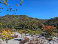 도담캠핑장