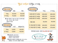 헬로우마루네 애견운동장