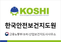 한국안전보건지도원