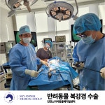 인천24시스카이동물메디컬센터