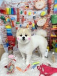 멍멍1길 23