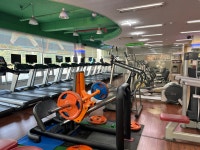하피랜드 휘트니스