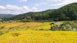 산뜨락힐링펜션