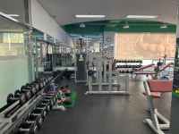 하피랜드 휘트니스