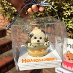 멍까루 강아지케이크 수제간식